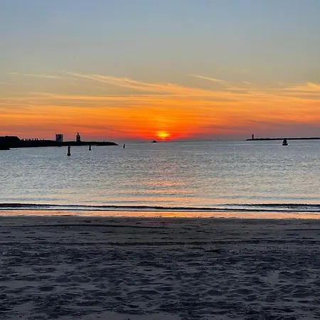 Tiny House In De Duinen Aan Zee Chalé IJmuiden